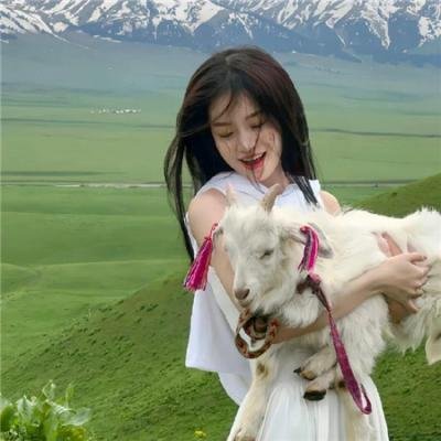 美国谍梦第五季